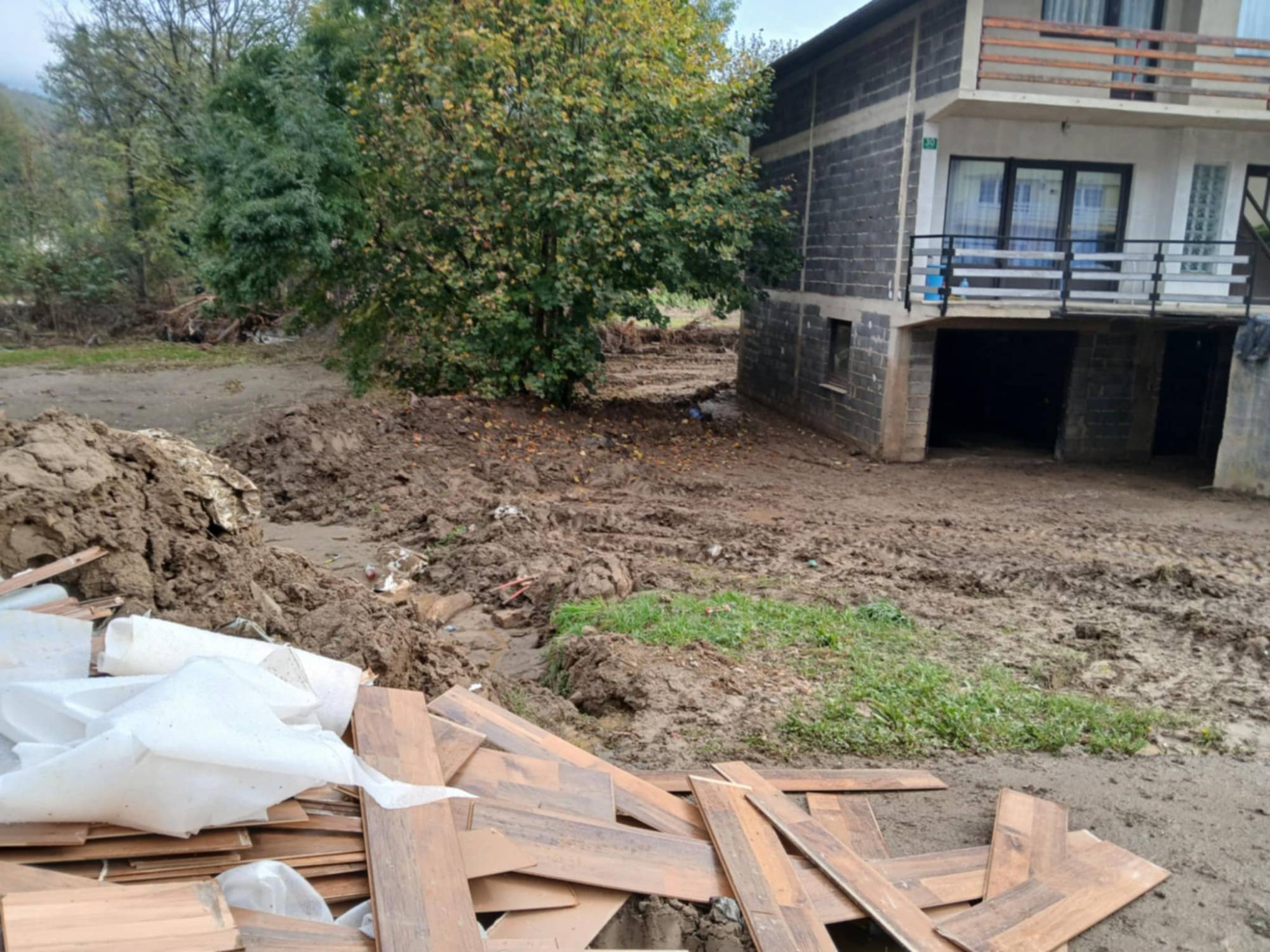 0d36421a-8109-4aaa-8f85-797c26b21232