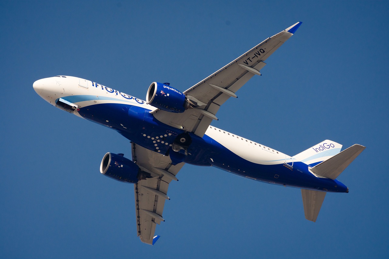 indigo airlines
