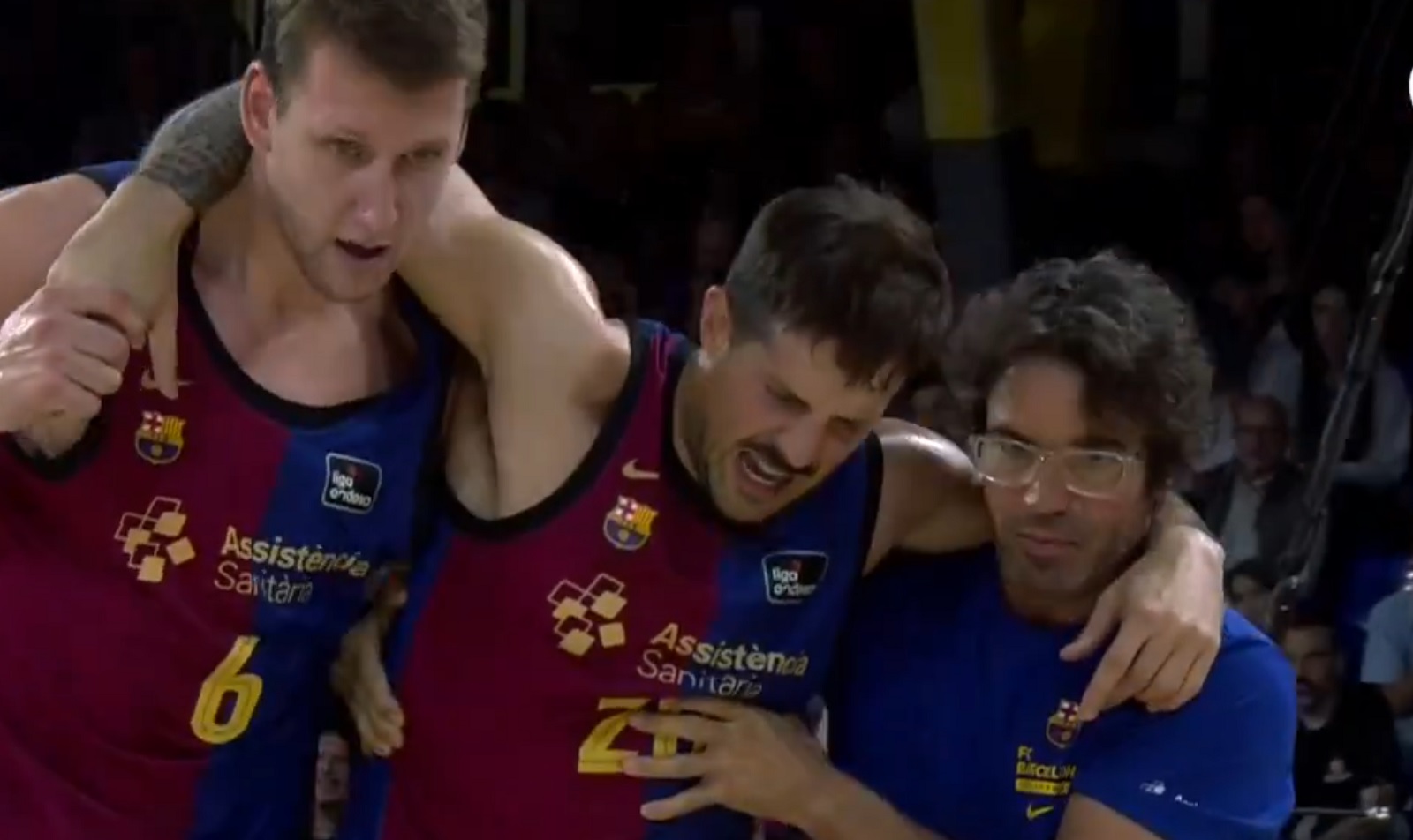 1729454349-niko-laprovitola