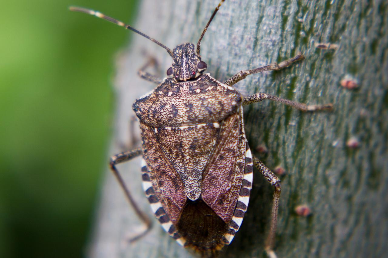 afc84648f574ca87e756