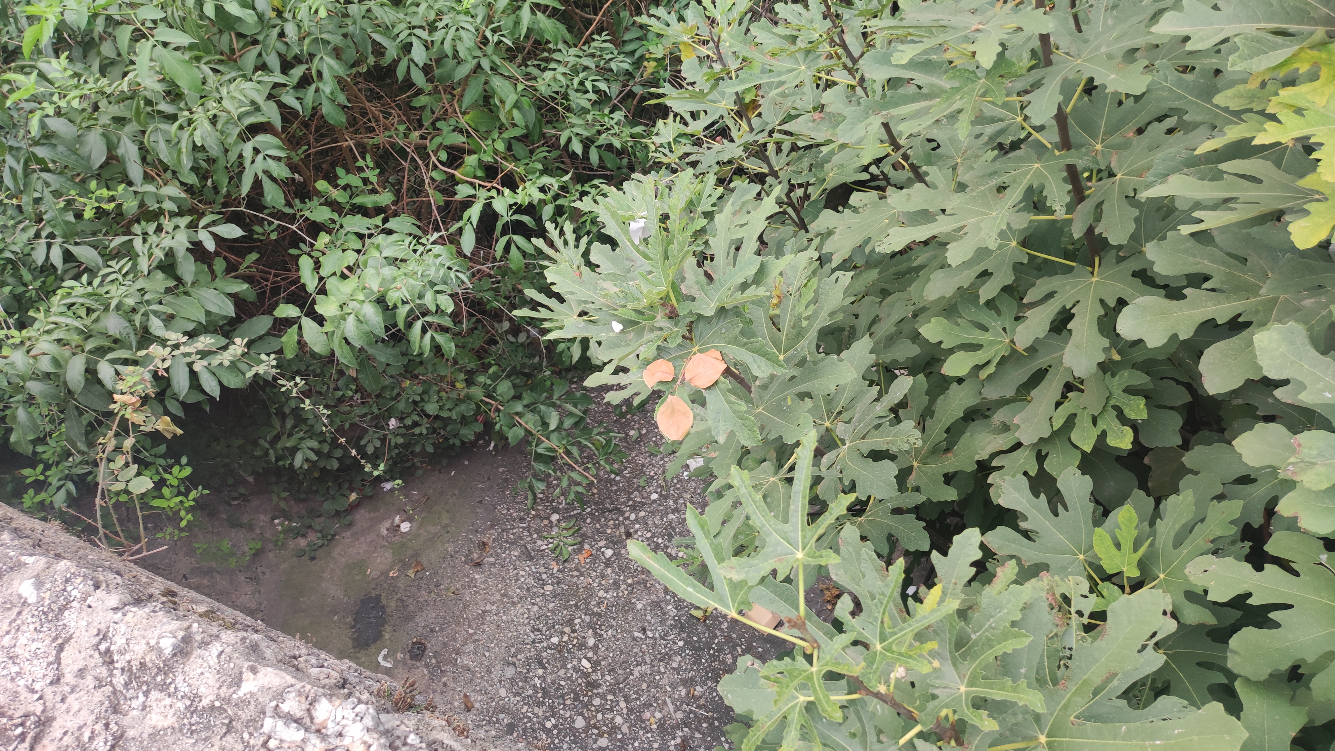 srbin pao sa zidica u mostaru i poginuo