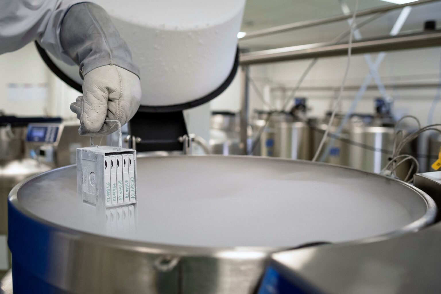 1729843369-profimedia-0493894706-1536x1024