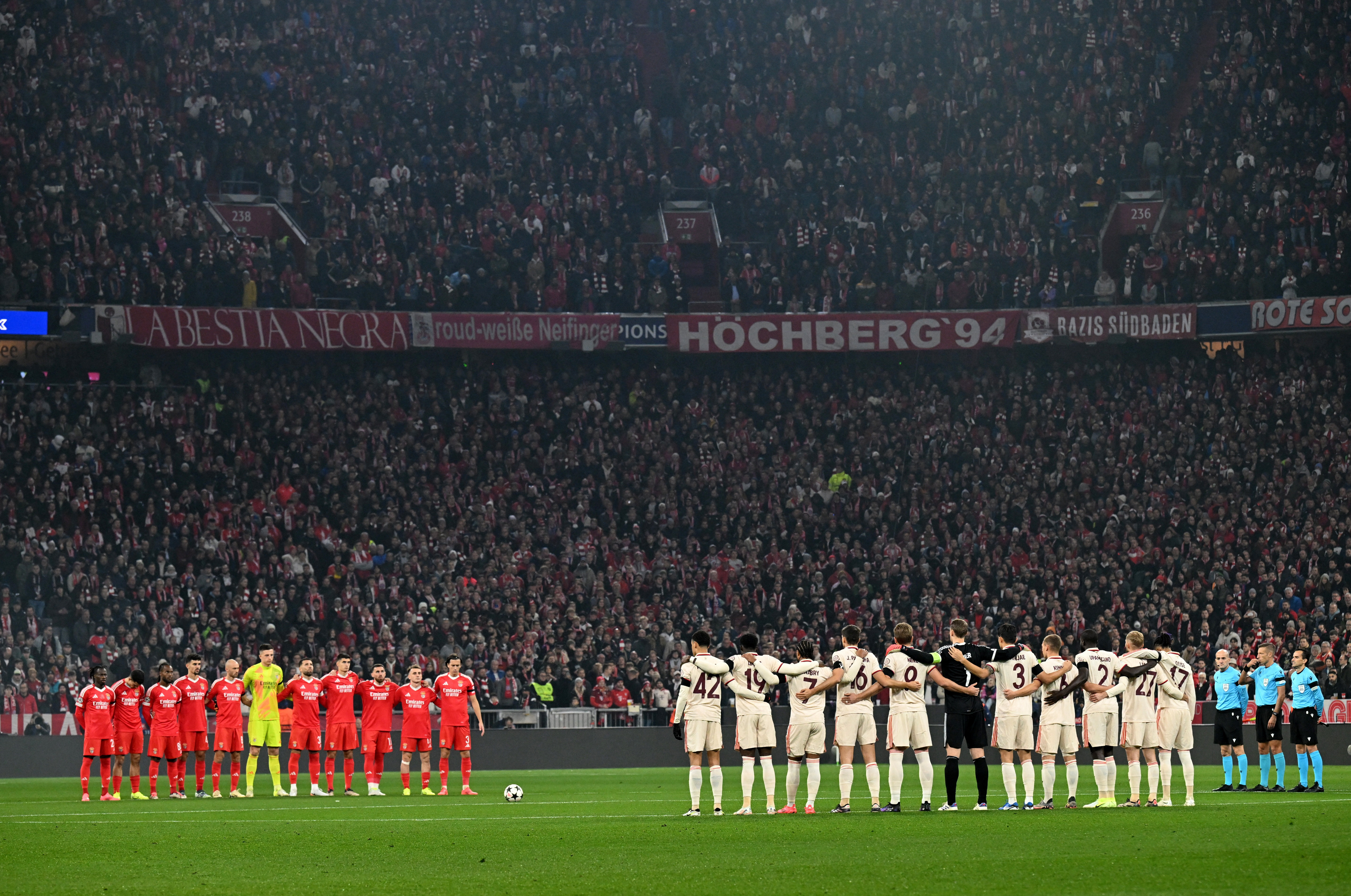 Champions League - Bayern Munich v Benfica