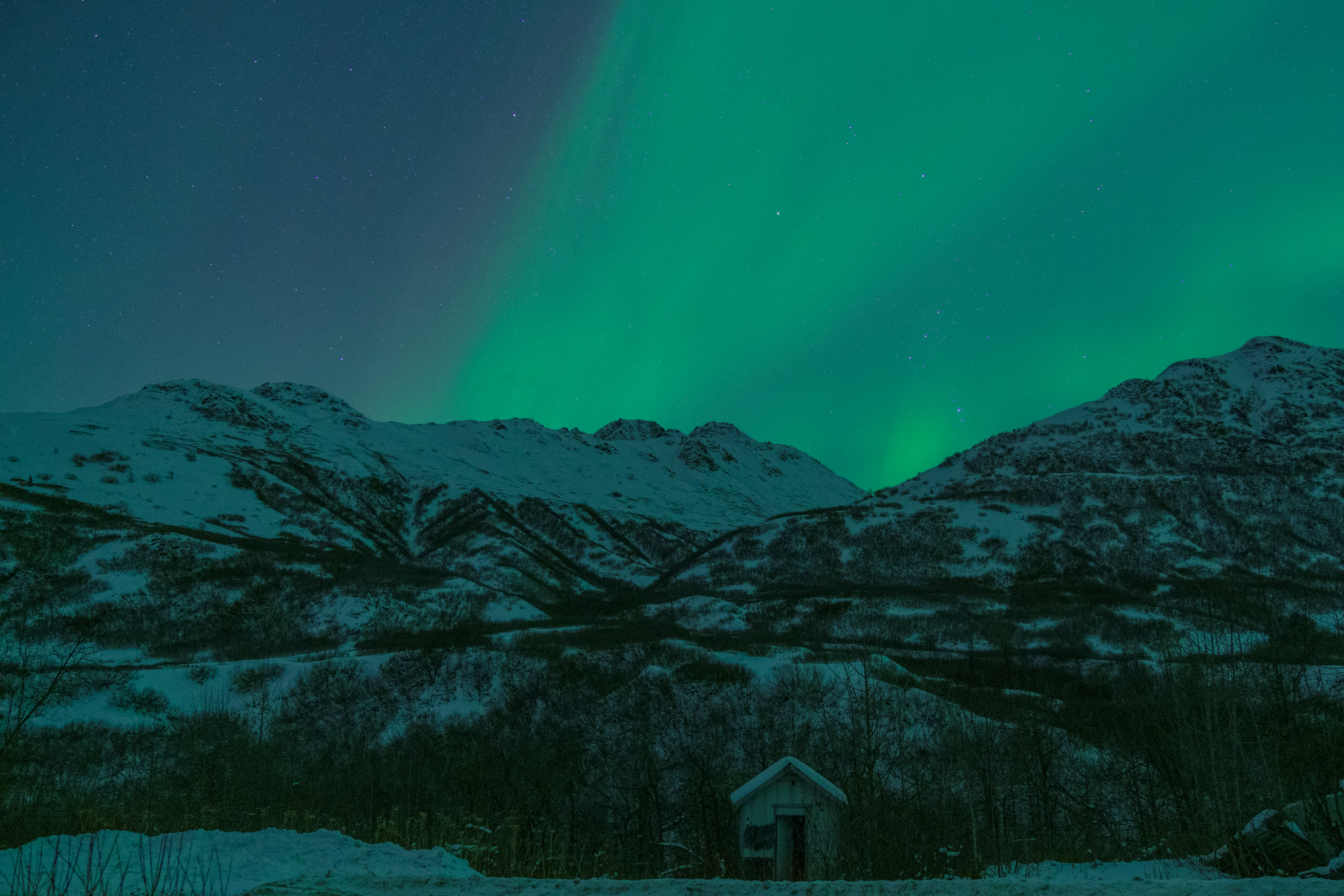 Polarna svjetlost na nebu iznad Aljaske