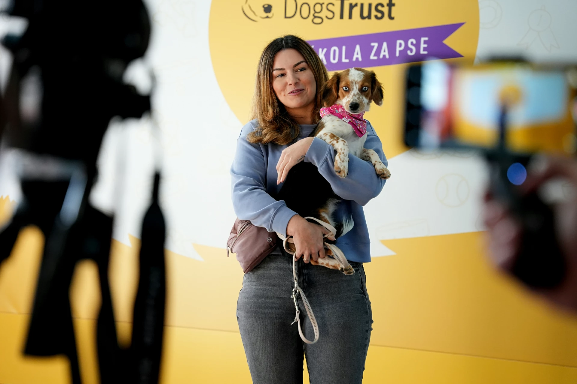 Dogs Trust