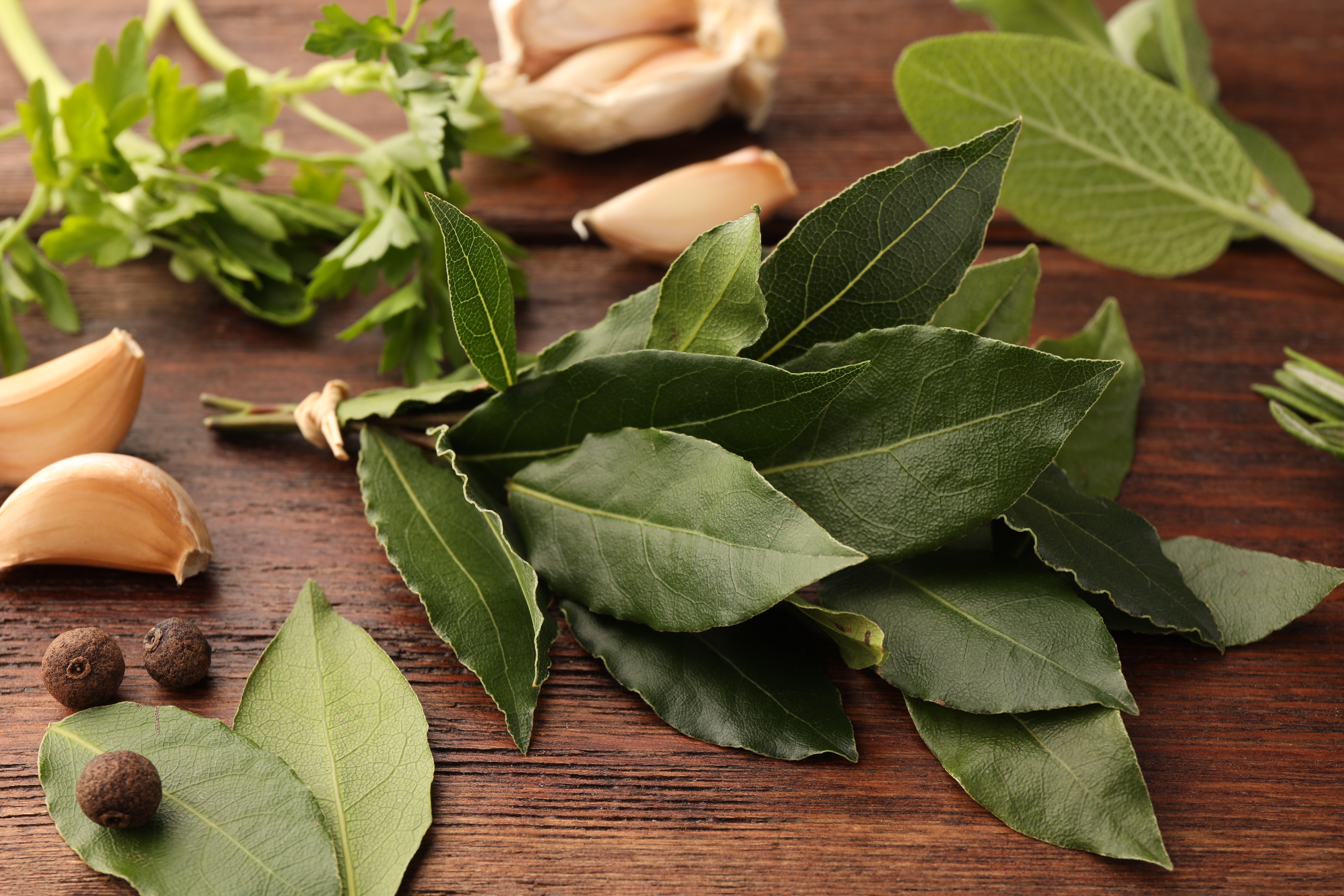 Aromatic,Fresh,Bay,Leaves,And,Spices,On,Wooden,Table,,Closeup