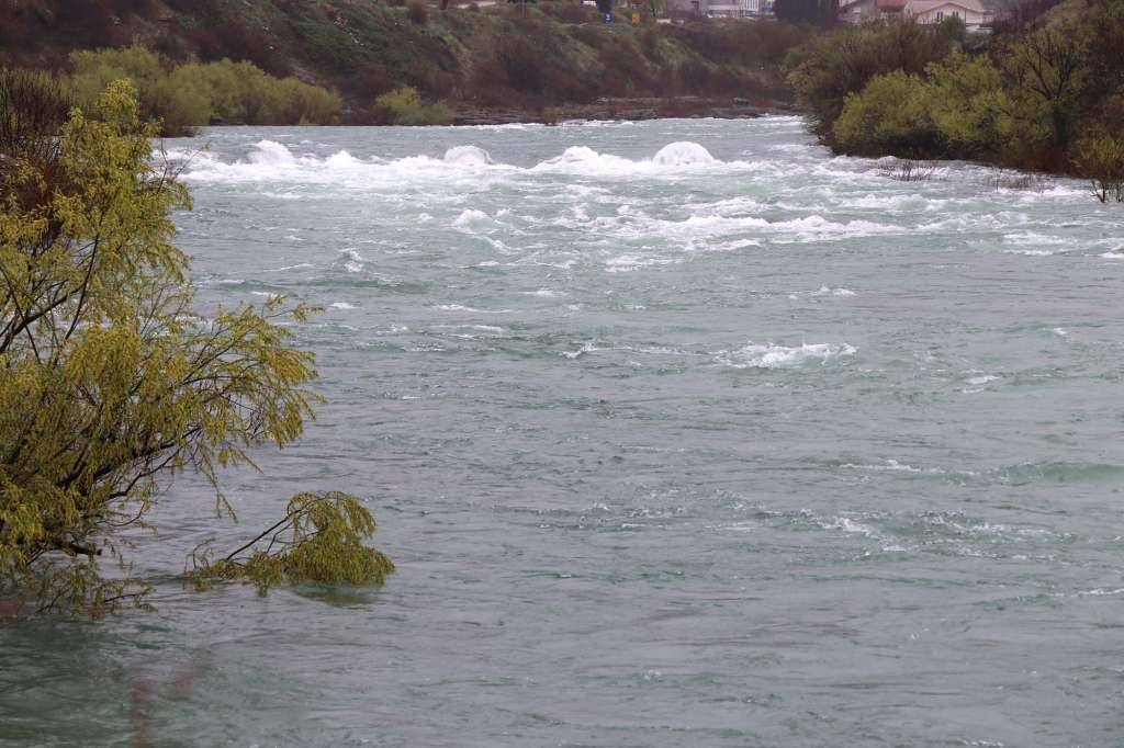 l_947853388df6b6e8613b02969432f256