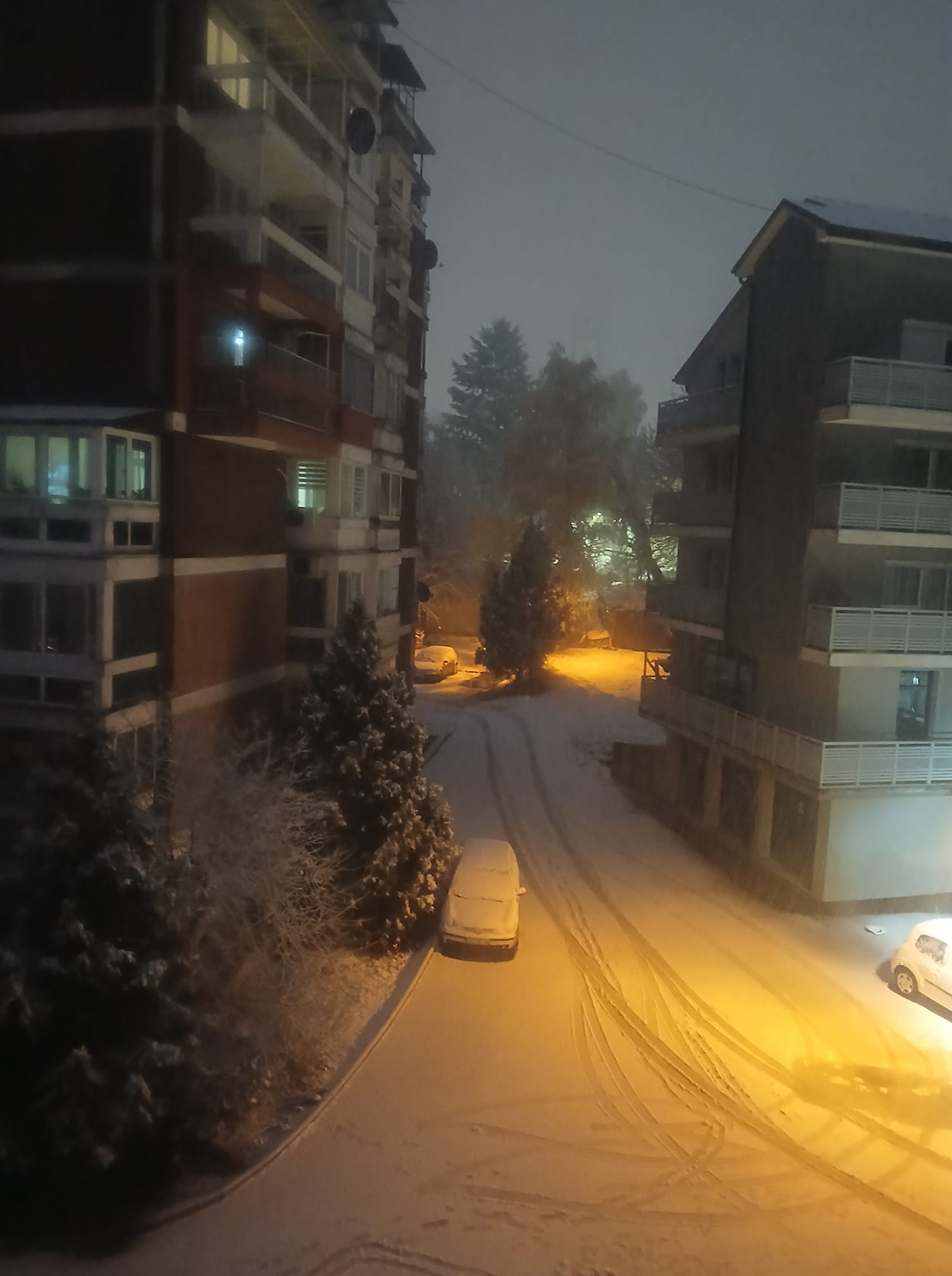 467301516_2548007648722196_8451674437925440155_n