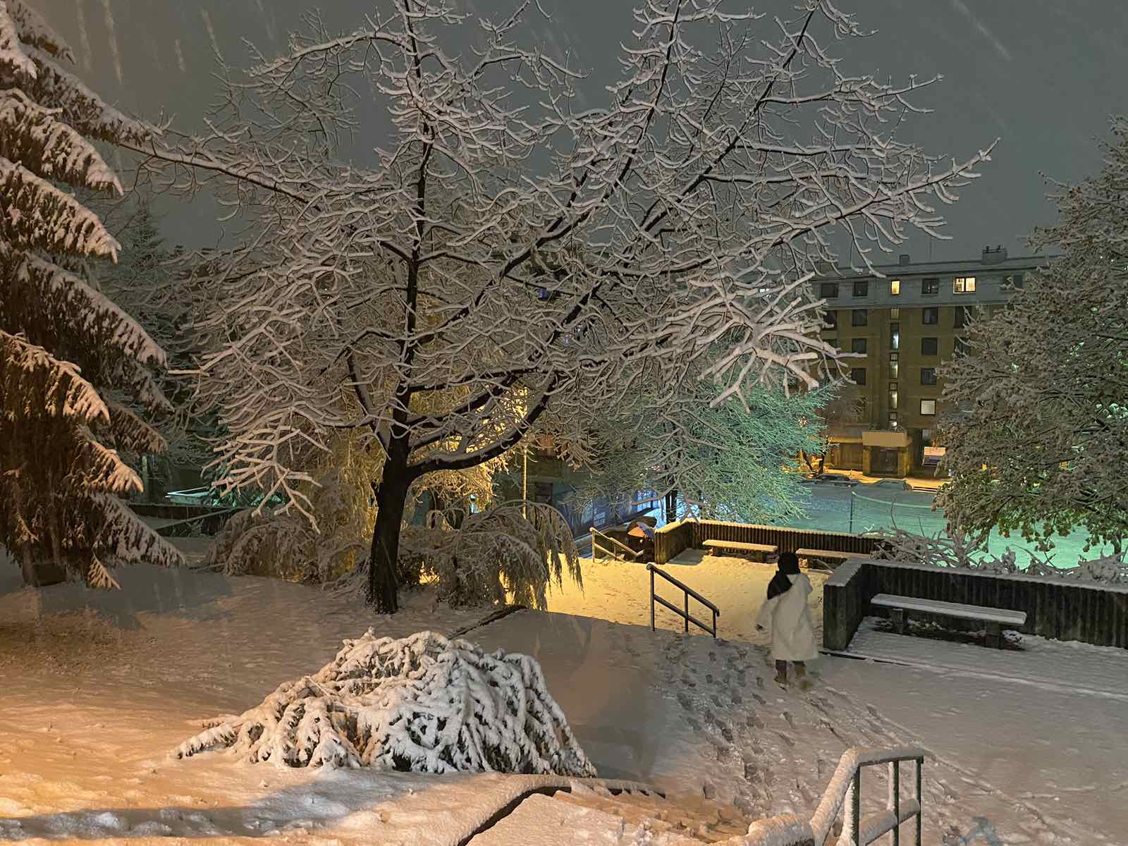 viber_image_2024-11-20_20-46-18-651