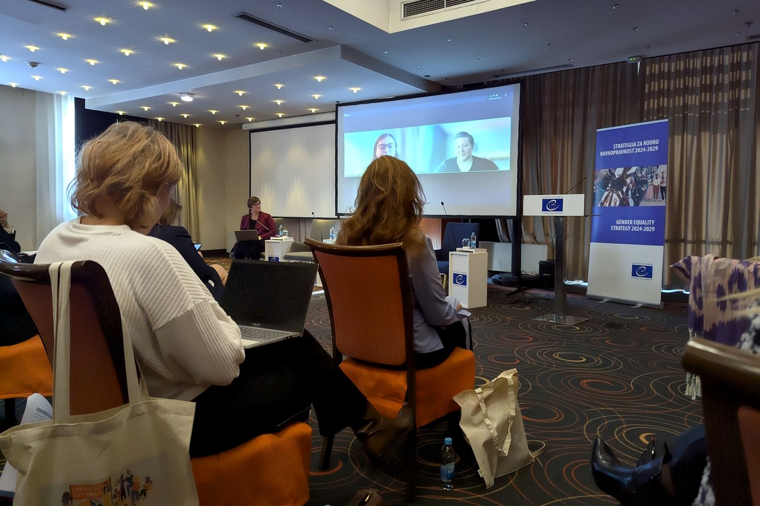 vijece evrope bih nasilje nad zenama