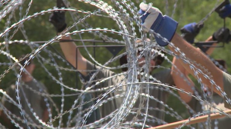 ograda-zica-40064-768x431