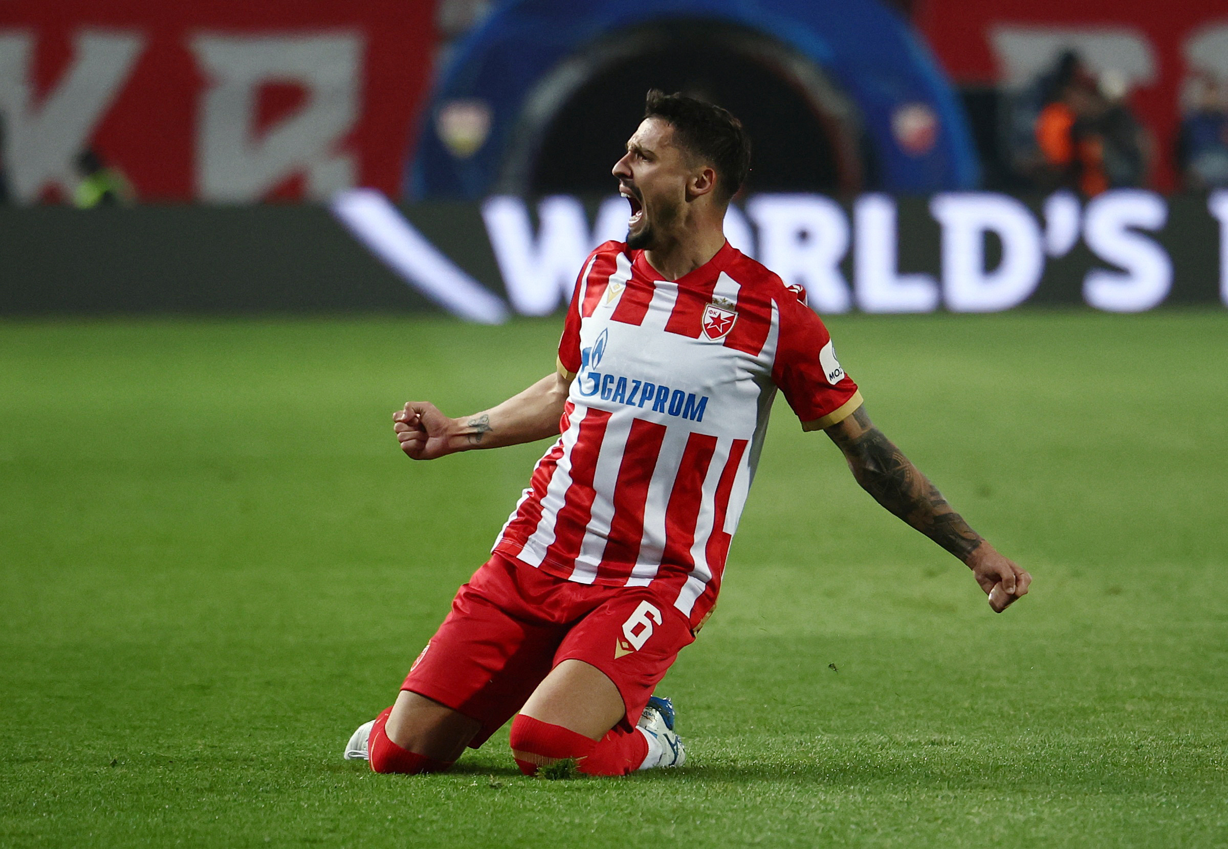 Champions League - Crvena Zvezda v VfB Stuttgart