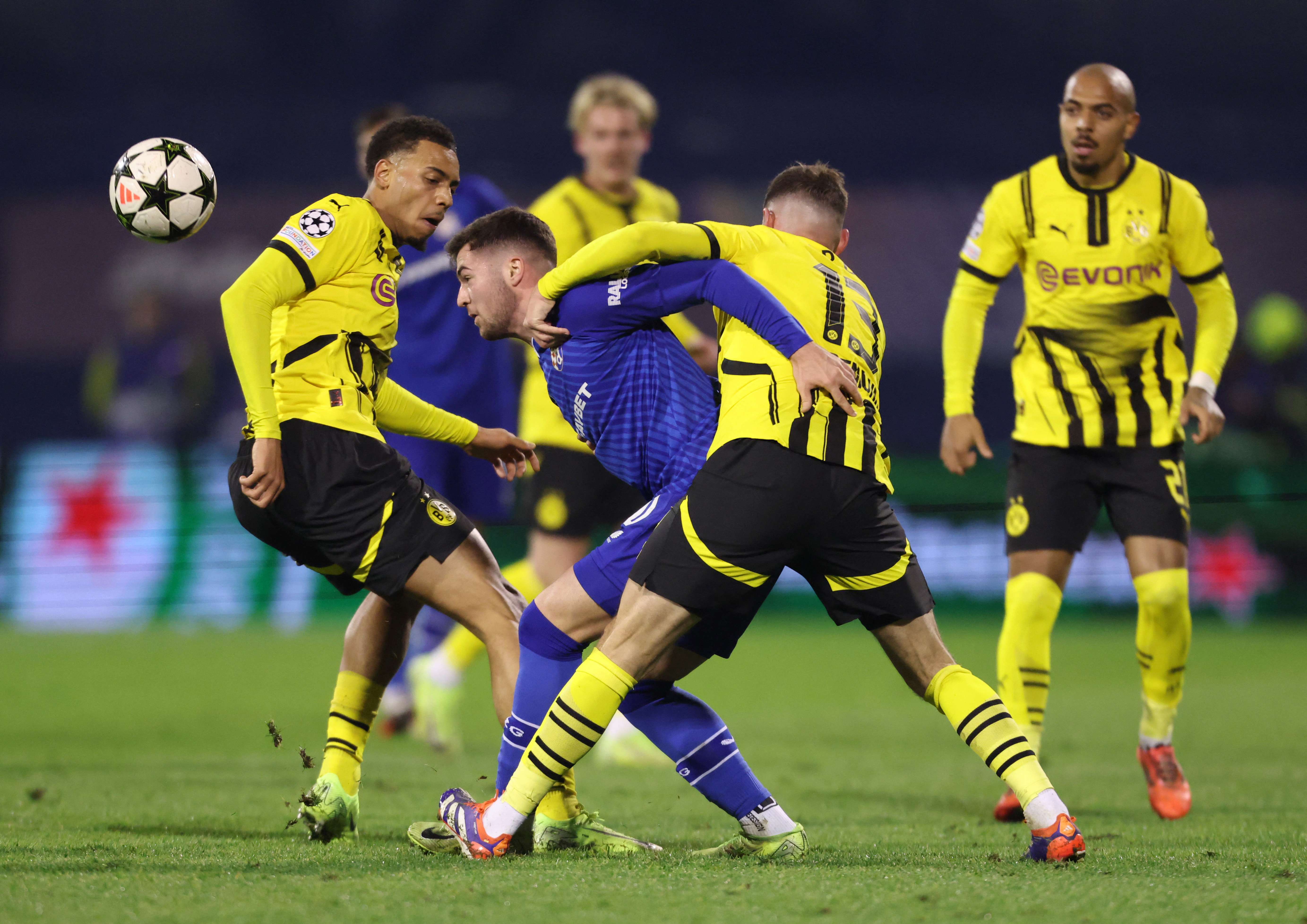 Champions League - GNK Dinamo Zagreb v Borussia Dortmund
