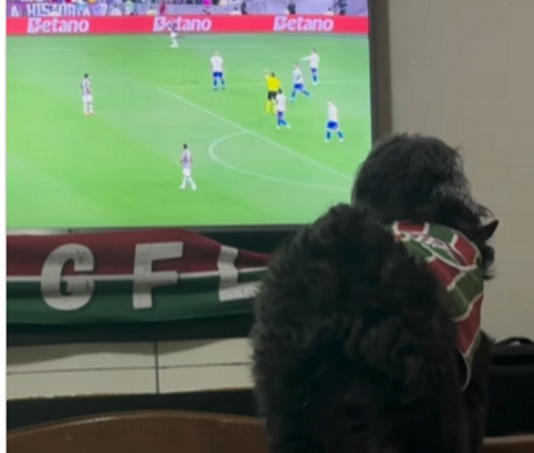 1732813698-kuce-750x636