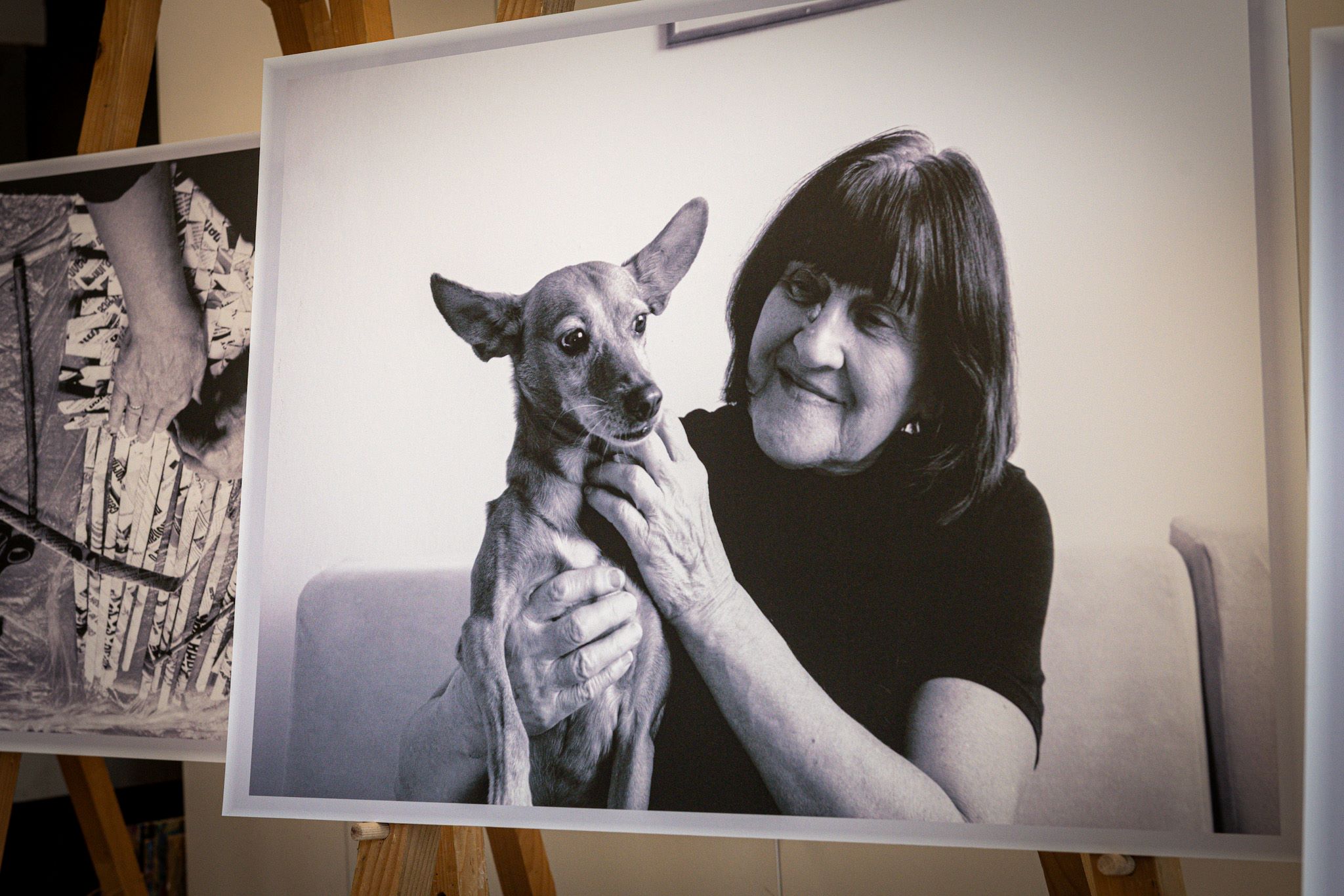 Velija Hasanbegović/NPS