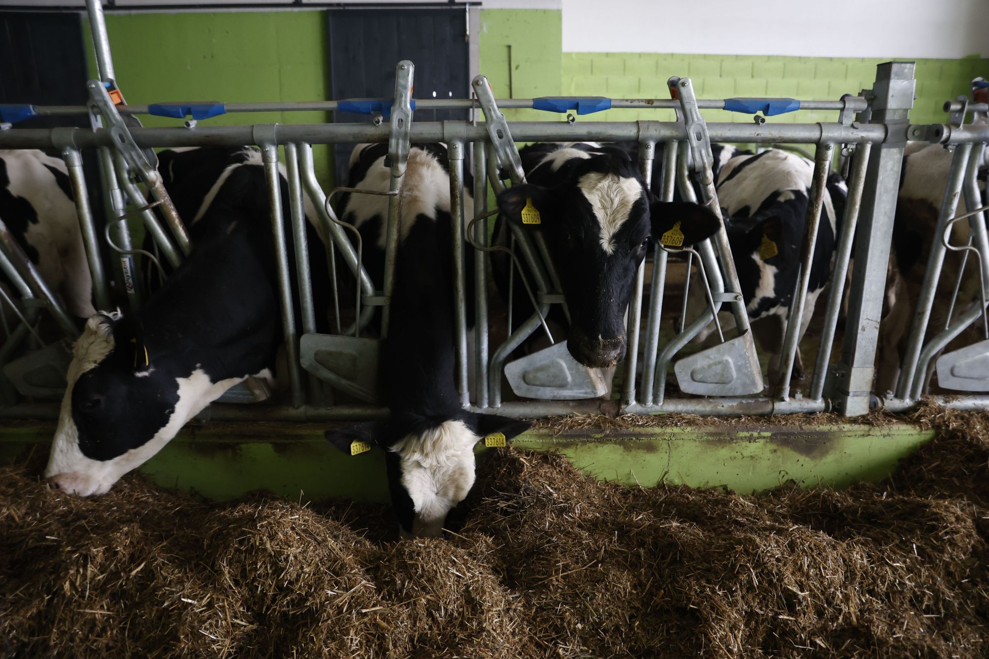 otvorenje-ds-farmer- buzim