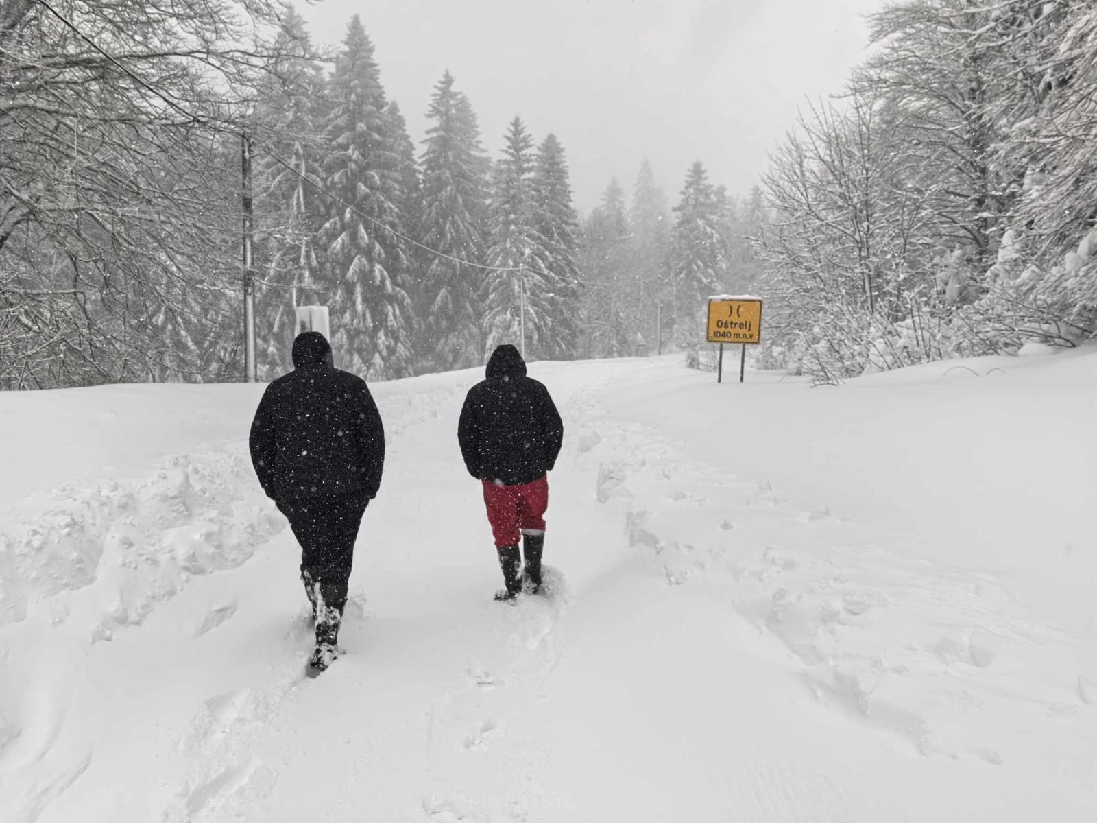 471199651_122183638862138056_6037648688407122370_n