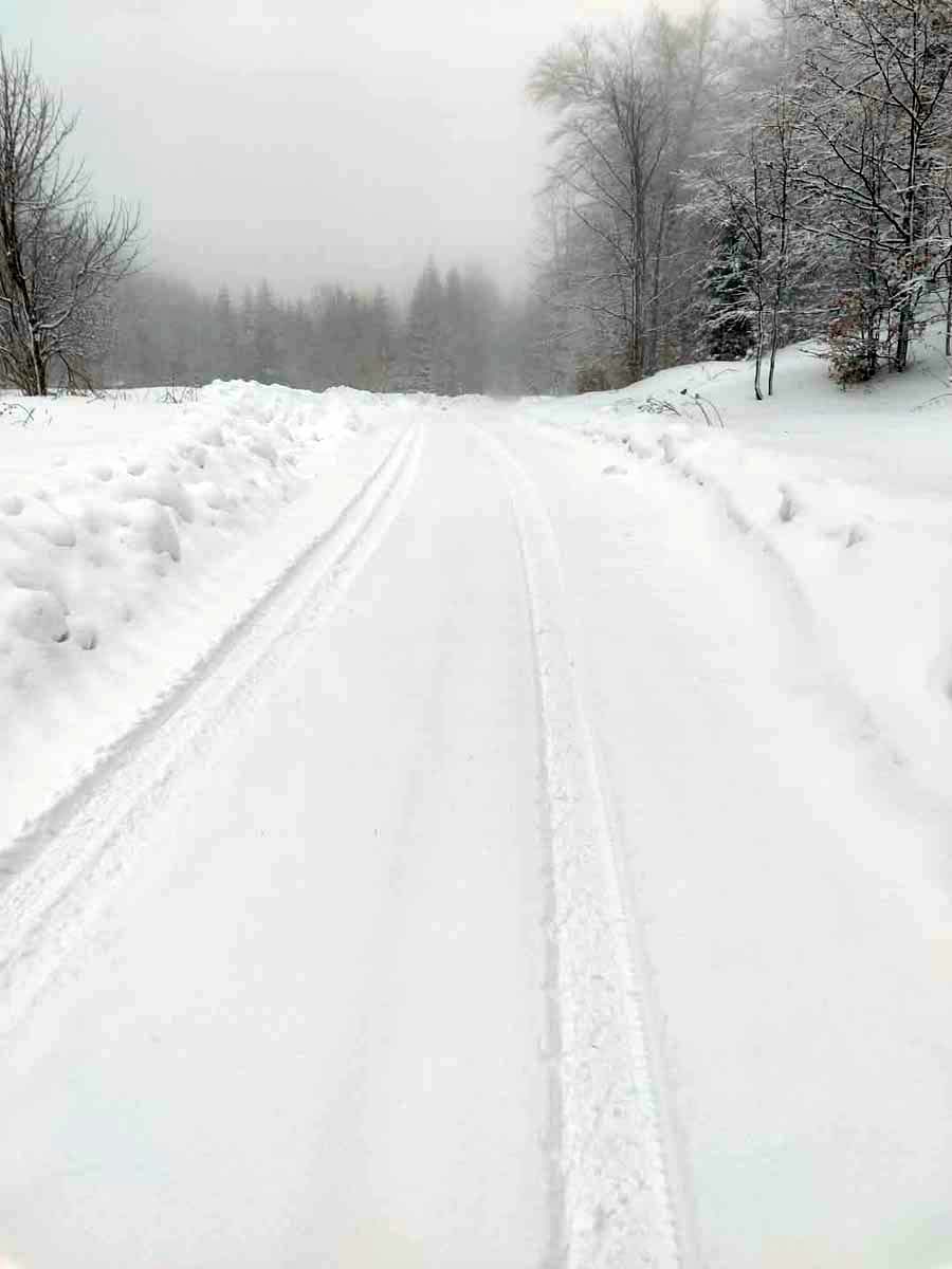 FB_IMG_1735129730416