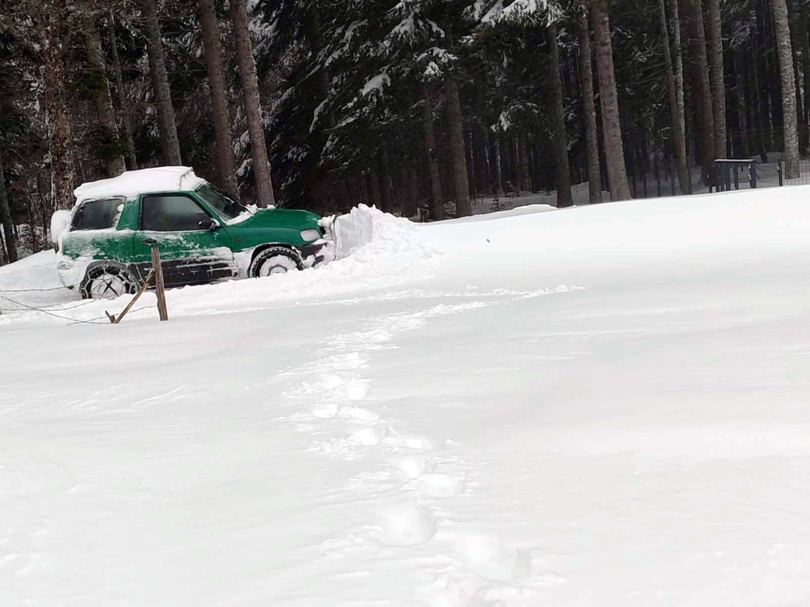 Messenger_creation_964C3DDC-B91E-4921-9F42-837AD186A5EE