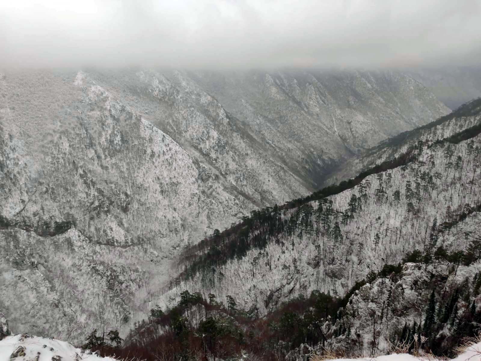 Messenger_creation_4741331F-5C60-447C-856E-C7AC5E8F0715