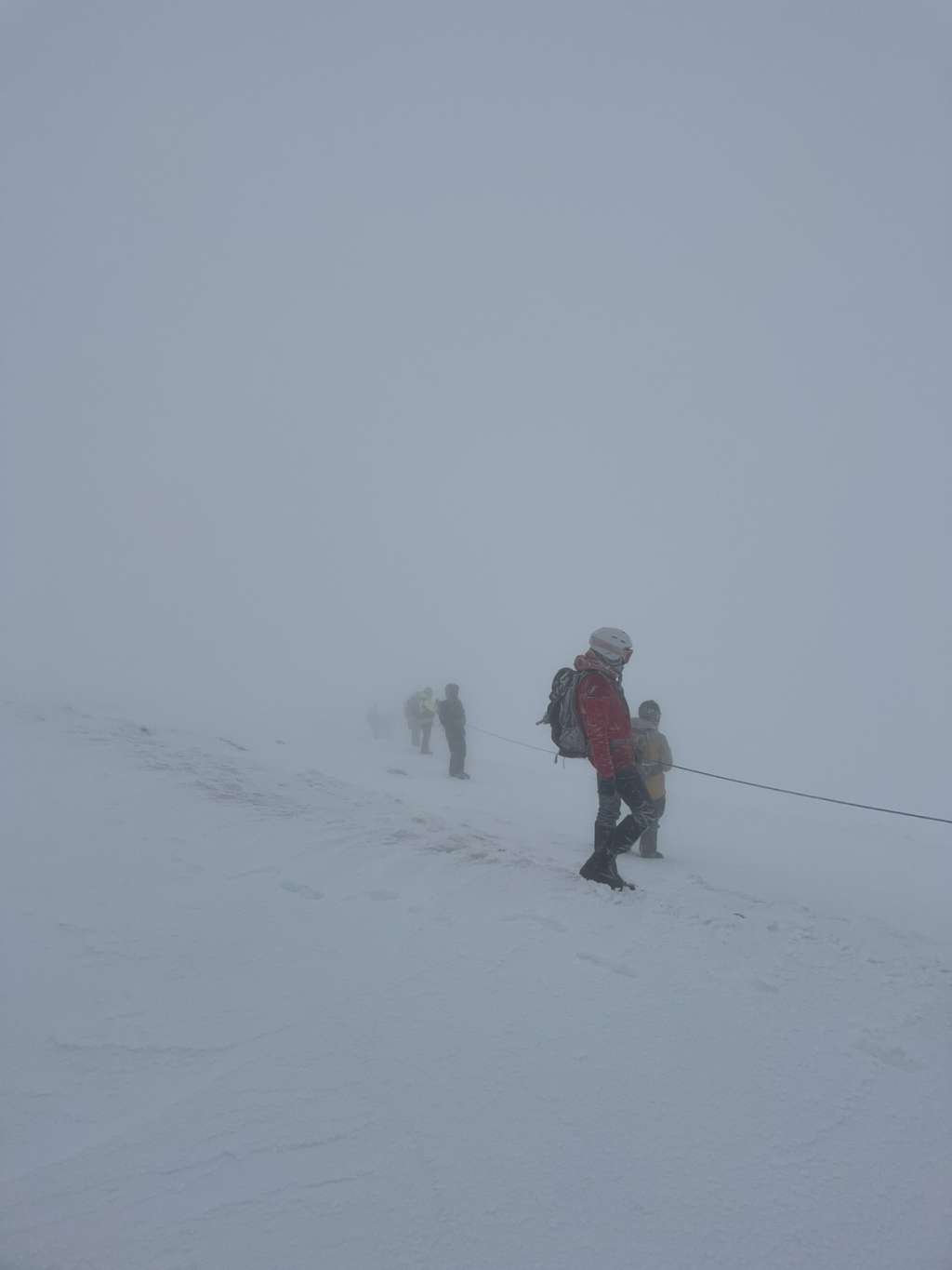 1735288106-l_466e27a88631ec5b71e984ec77a39b17