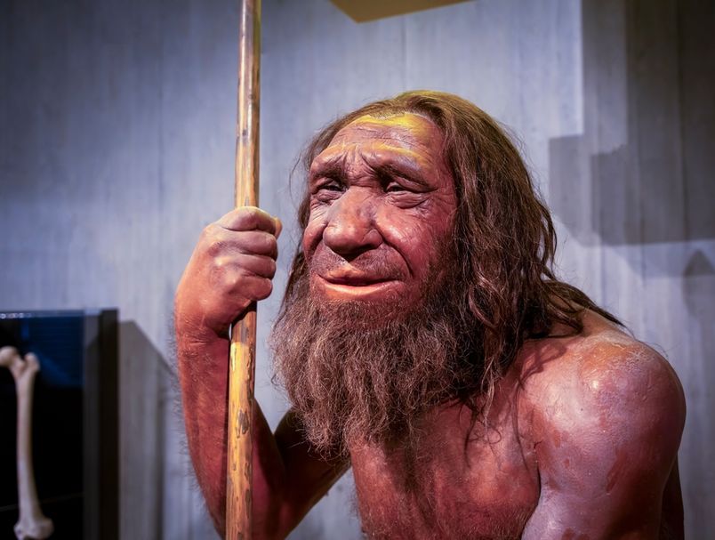 62987354-neandertalci