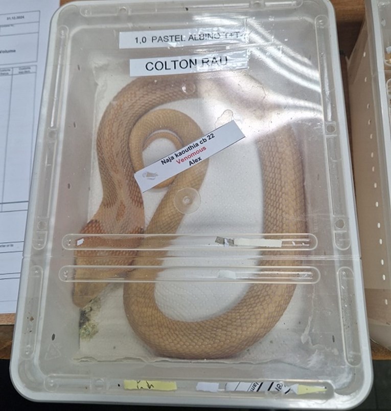 b574b098-0500-4e90-aded-ffd790159529