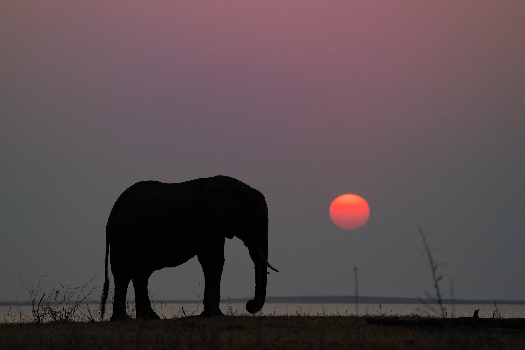 profimedia-0716741598