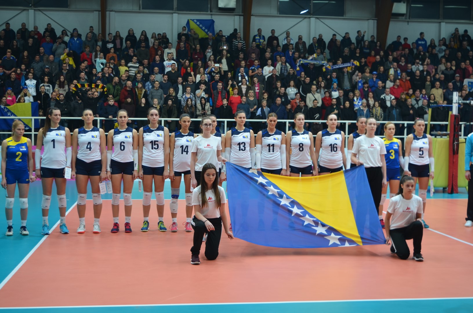 Ženska odbojkaška reprezentacija BiH