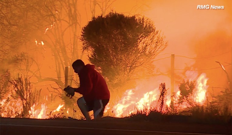 dccca8f8-aea9-4c92-ae4e-cd88b030b229