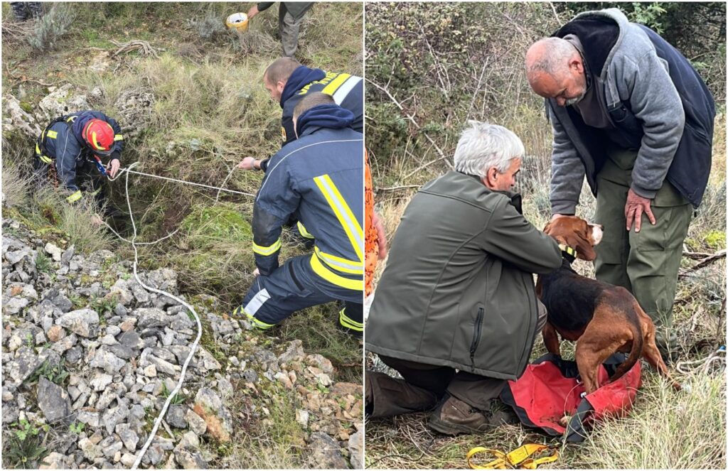 1736775840-BeFunky-collage-7-1024x663