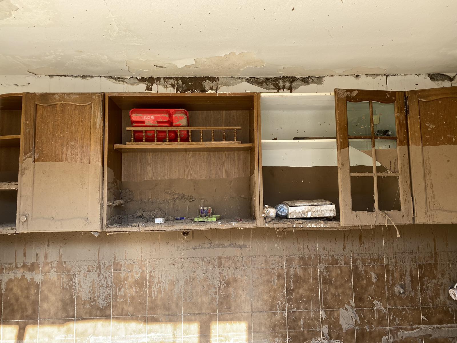 viber_image_2025-02-04_12-58-33-659