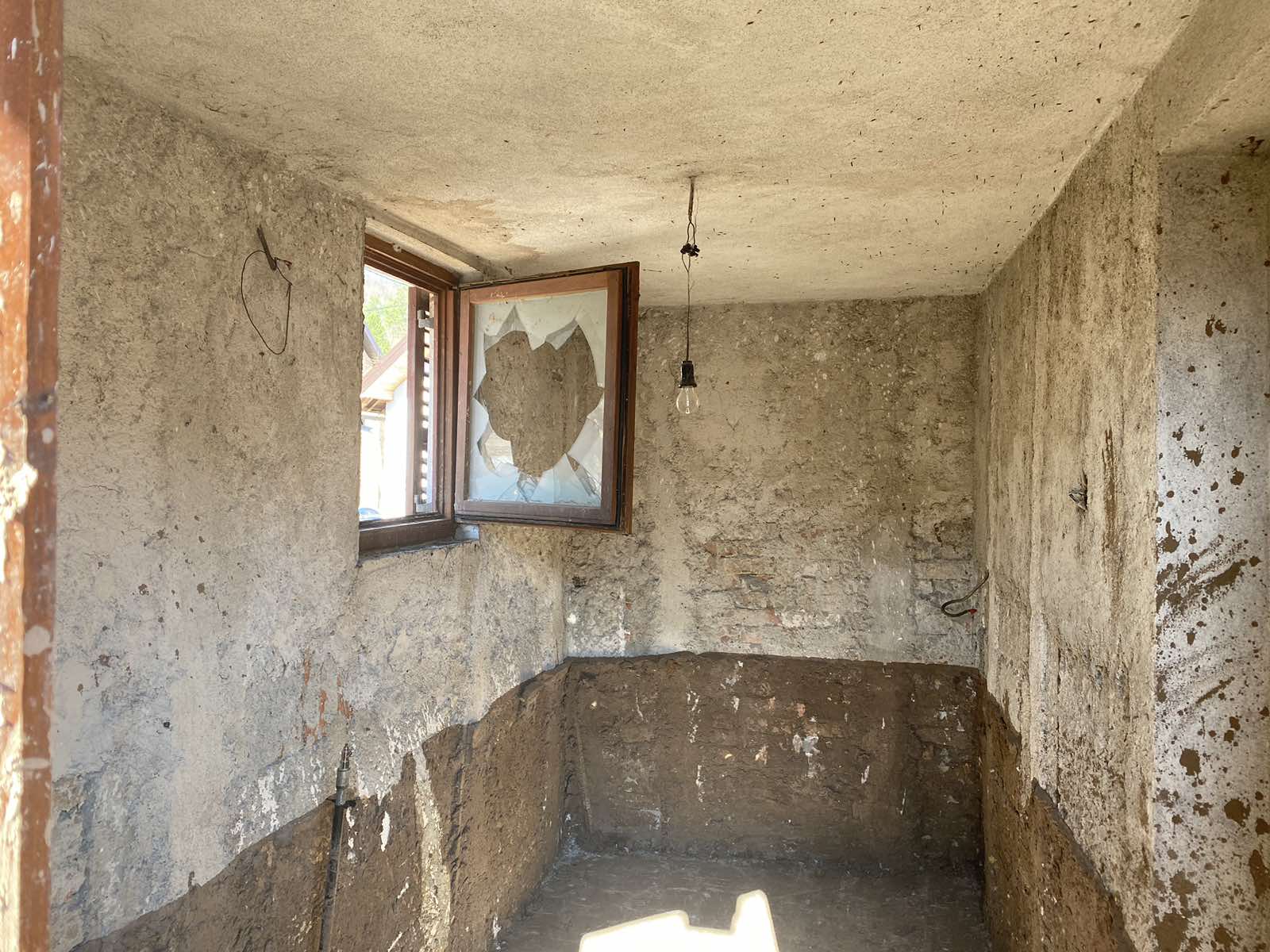 viber_image_2025-02-04_12-58-33-713