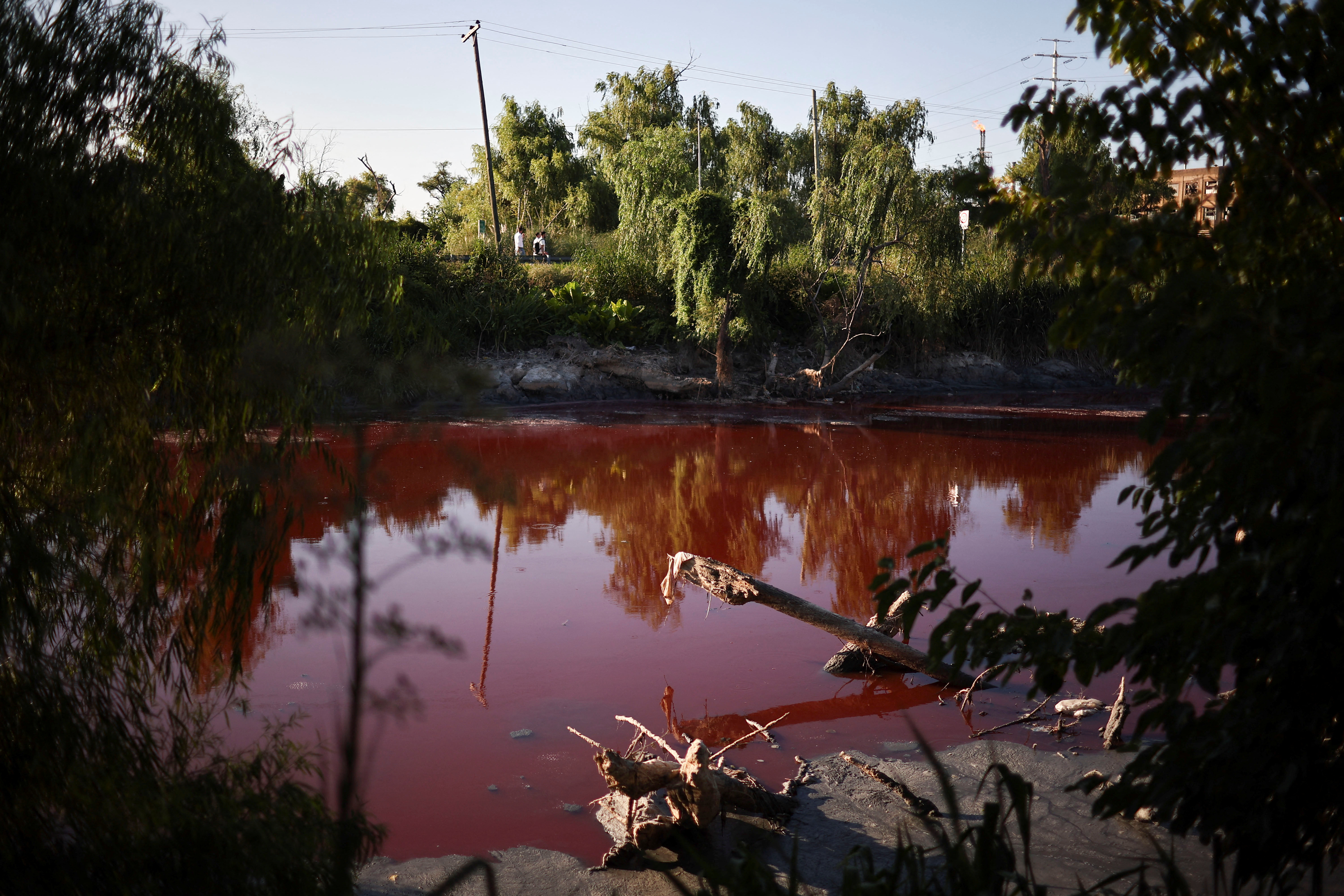 A stream turns red for unknown reasons, in Buenos Aires