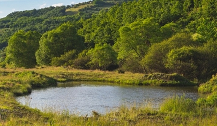 Mountain,Landscape,With,Small,Lake,In,South,Part,Of,Serbia.