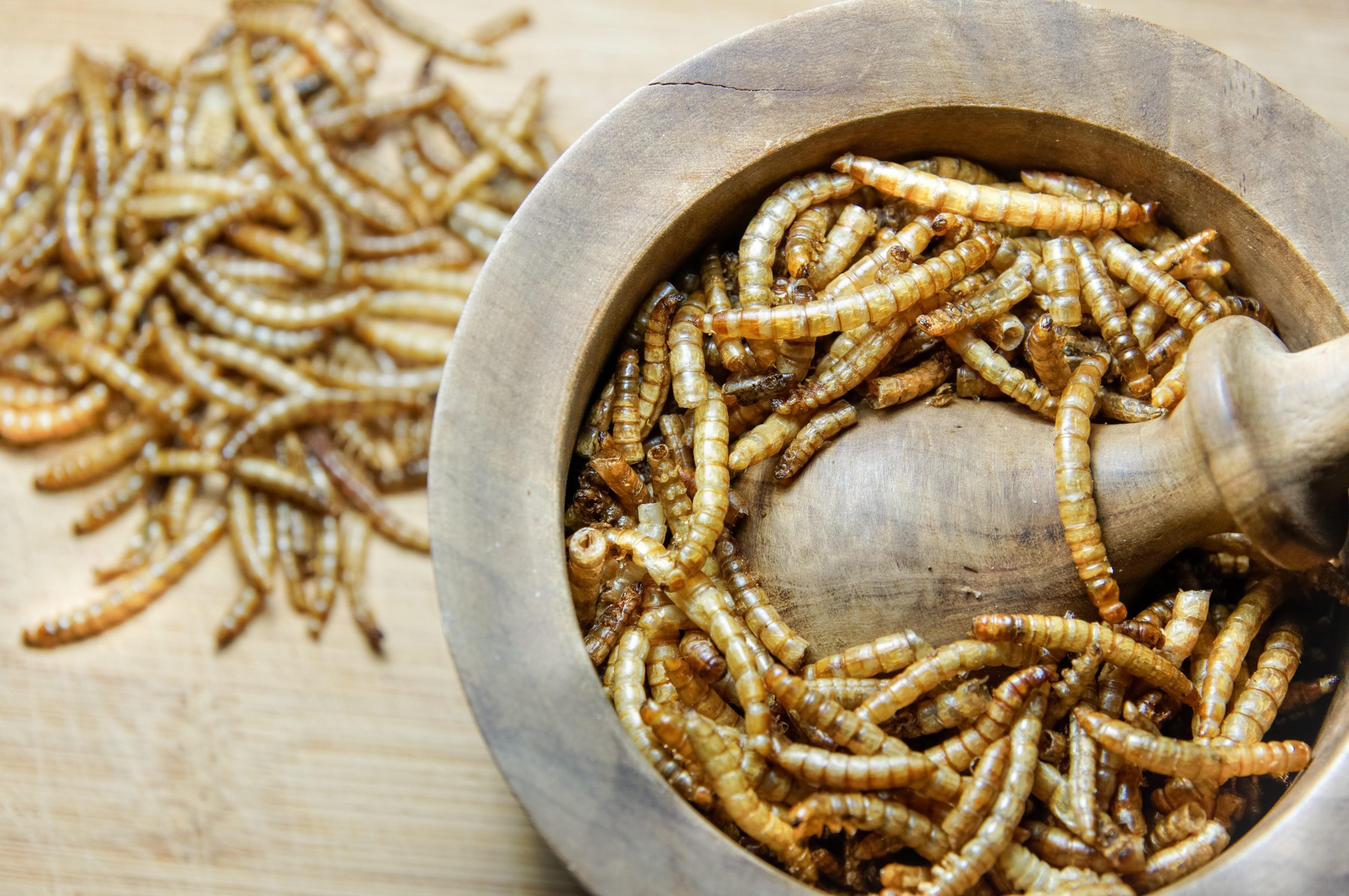 Dried mealworms in mortar