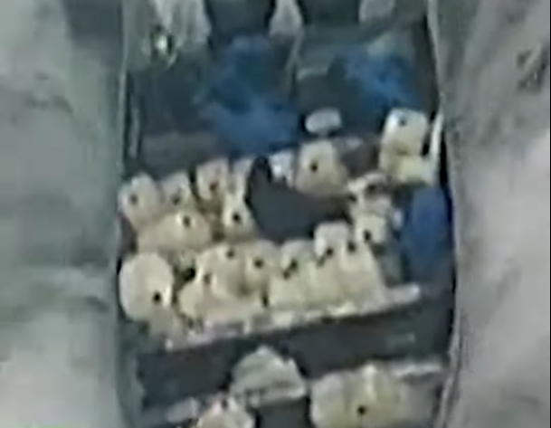 1693382220-Snimka-zaslona-2023-08-30-095605