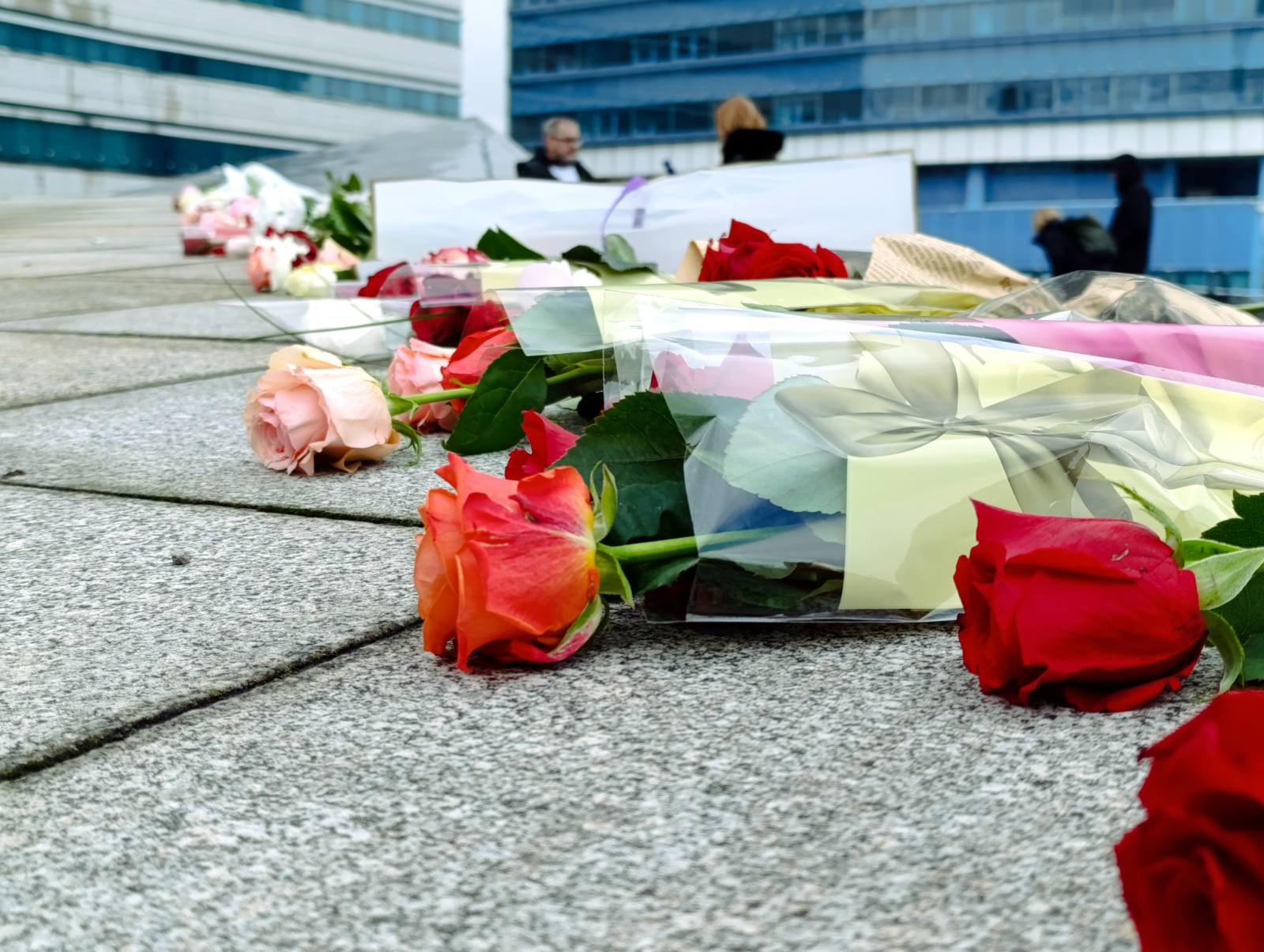 viber_image_2025-02-15_12-38-13-354