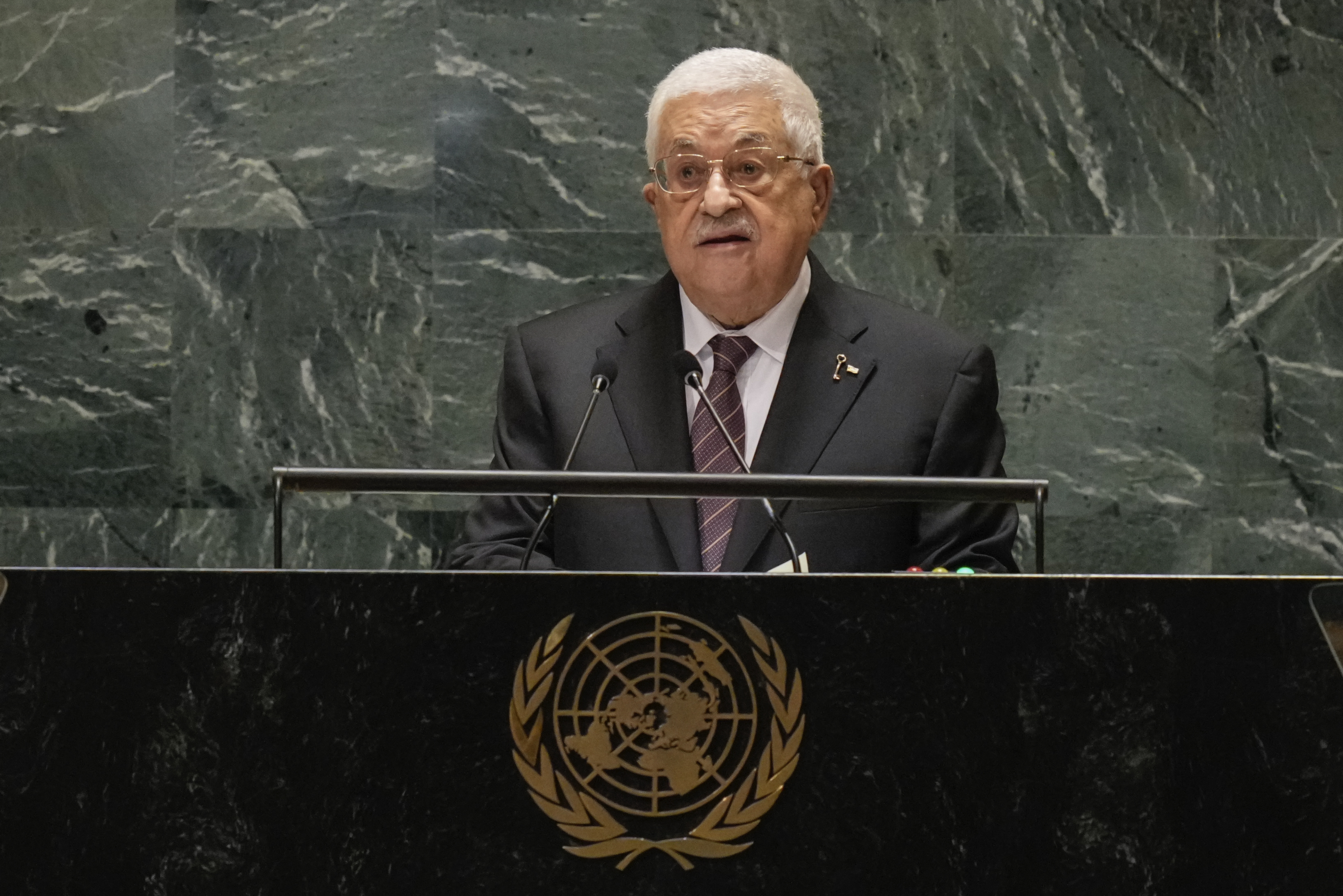 UN General Assembly Palestinians