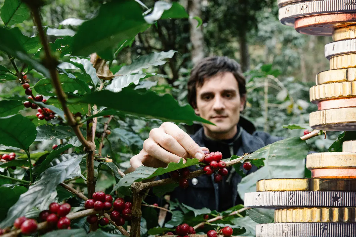 berači biljaka zarada