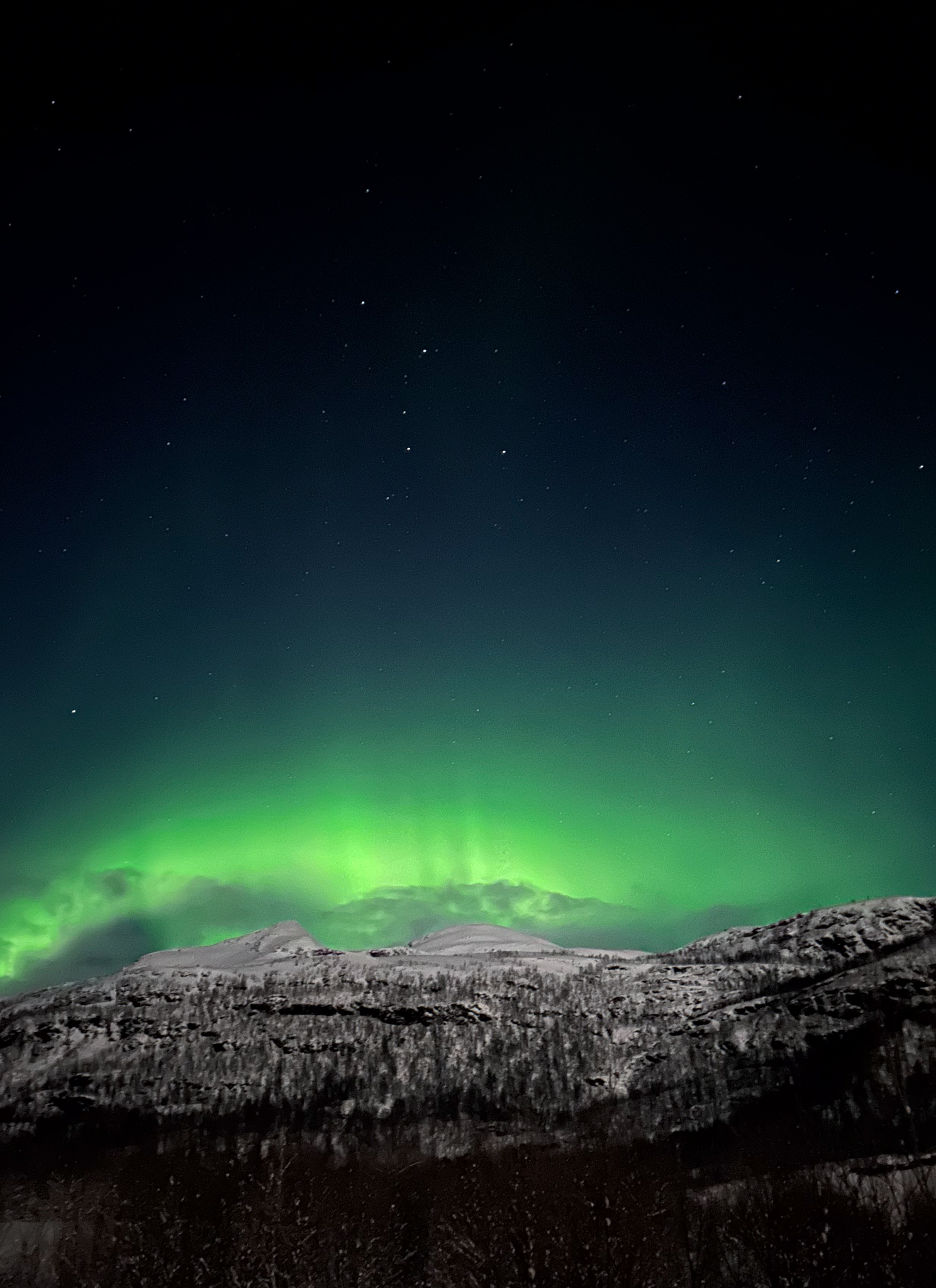 Aurora Borealis u Norveškoj/Anadolija