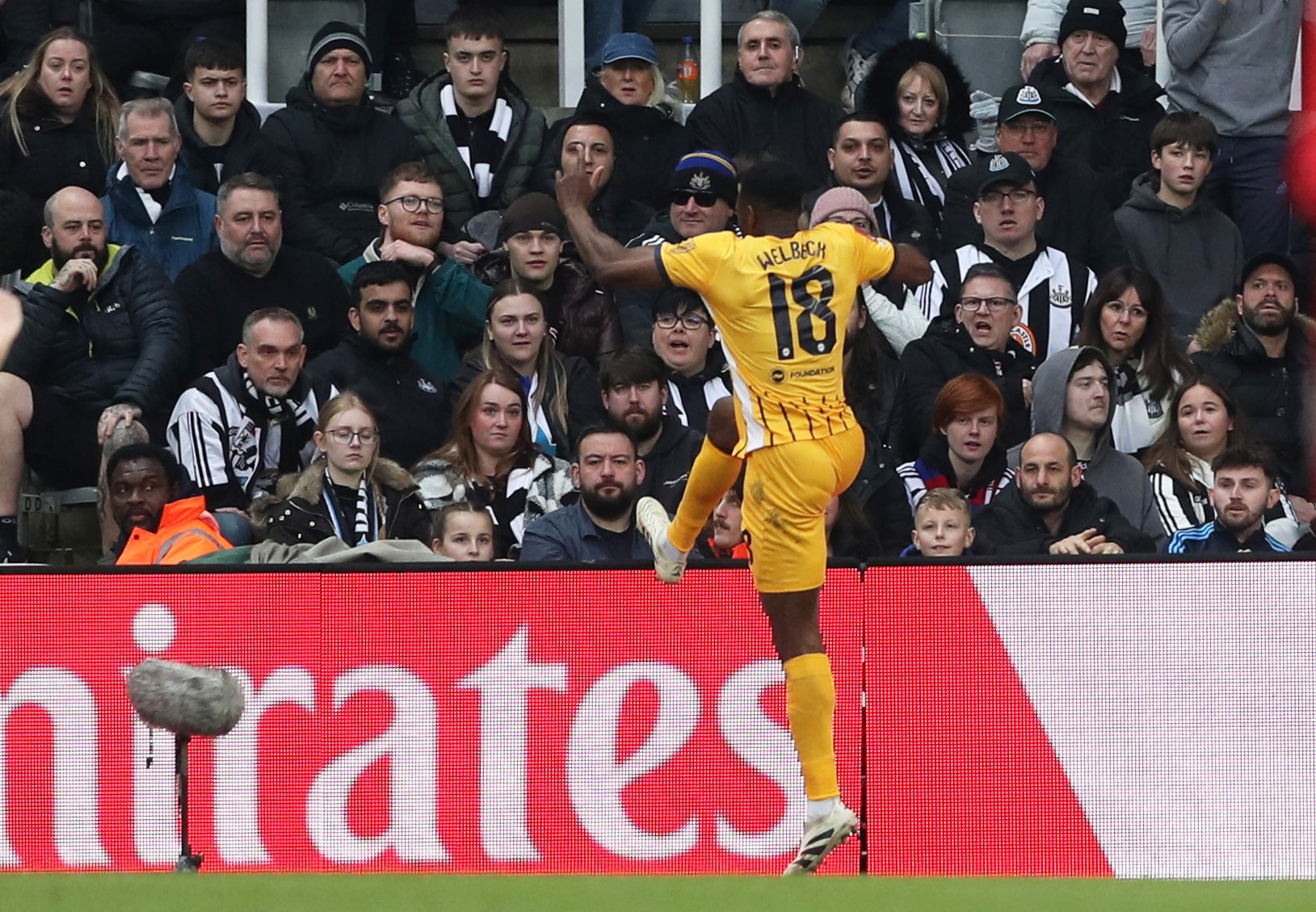 FA Cup - Fifth Round - Newcastle United v Brighton &amp; Hove Albion