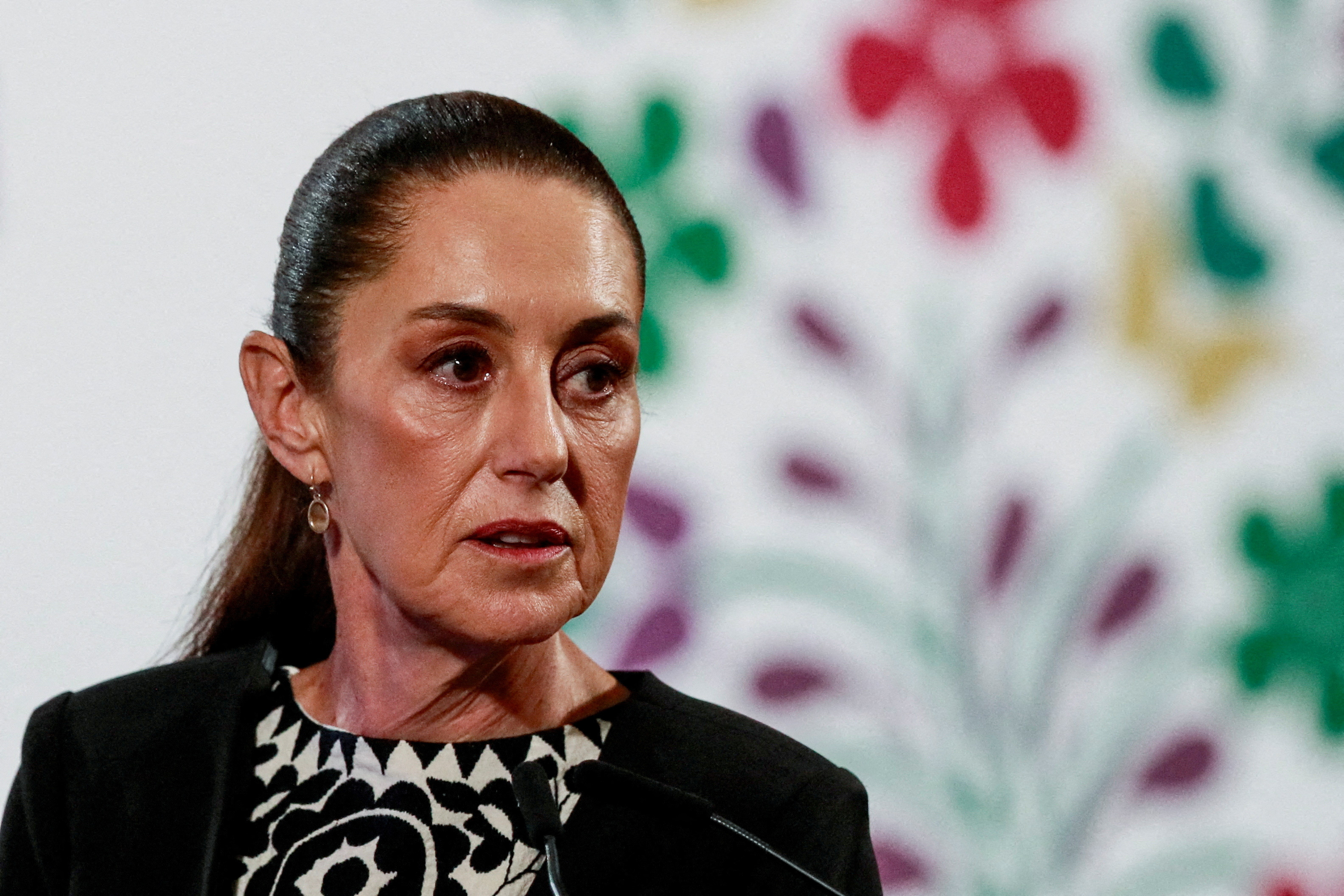 FILE PHOTO: Mexico's President Claudia Sheinbaum holds a press conference at the National Palace, in Mexico City