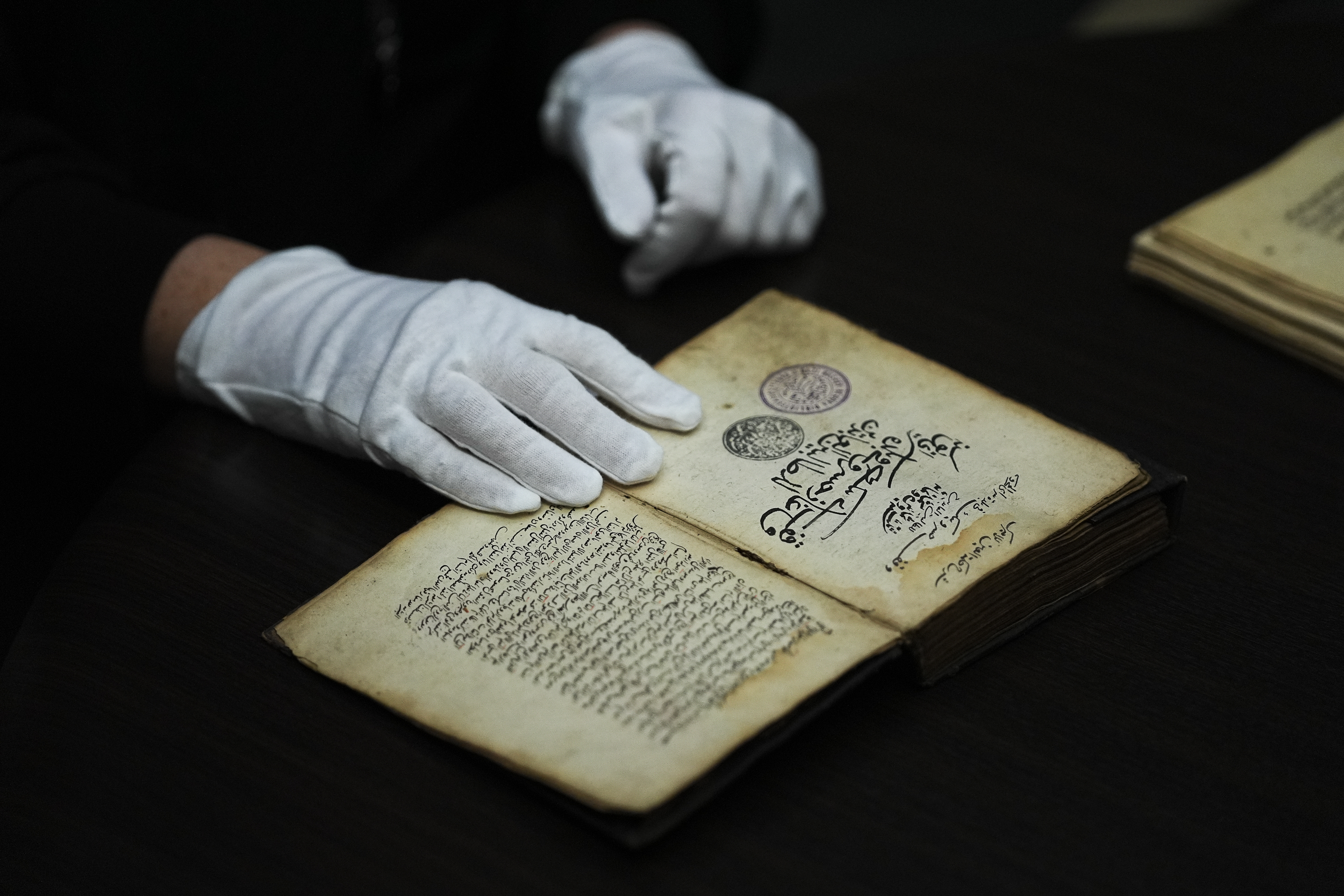 Gazi Husrev-begova biblioteka/ Anadolija