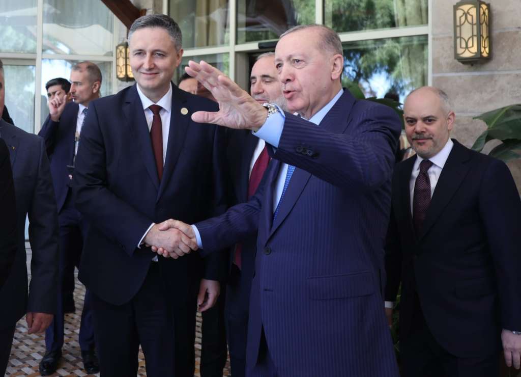 Član Predsjedništva BiH Denis Bećirović i predsjednik Turske Recep Tayip Erdogan