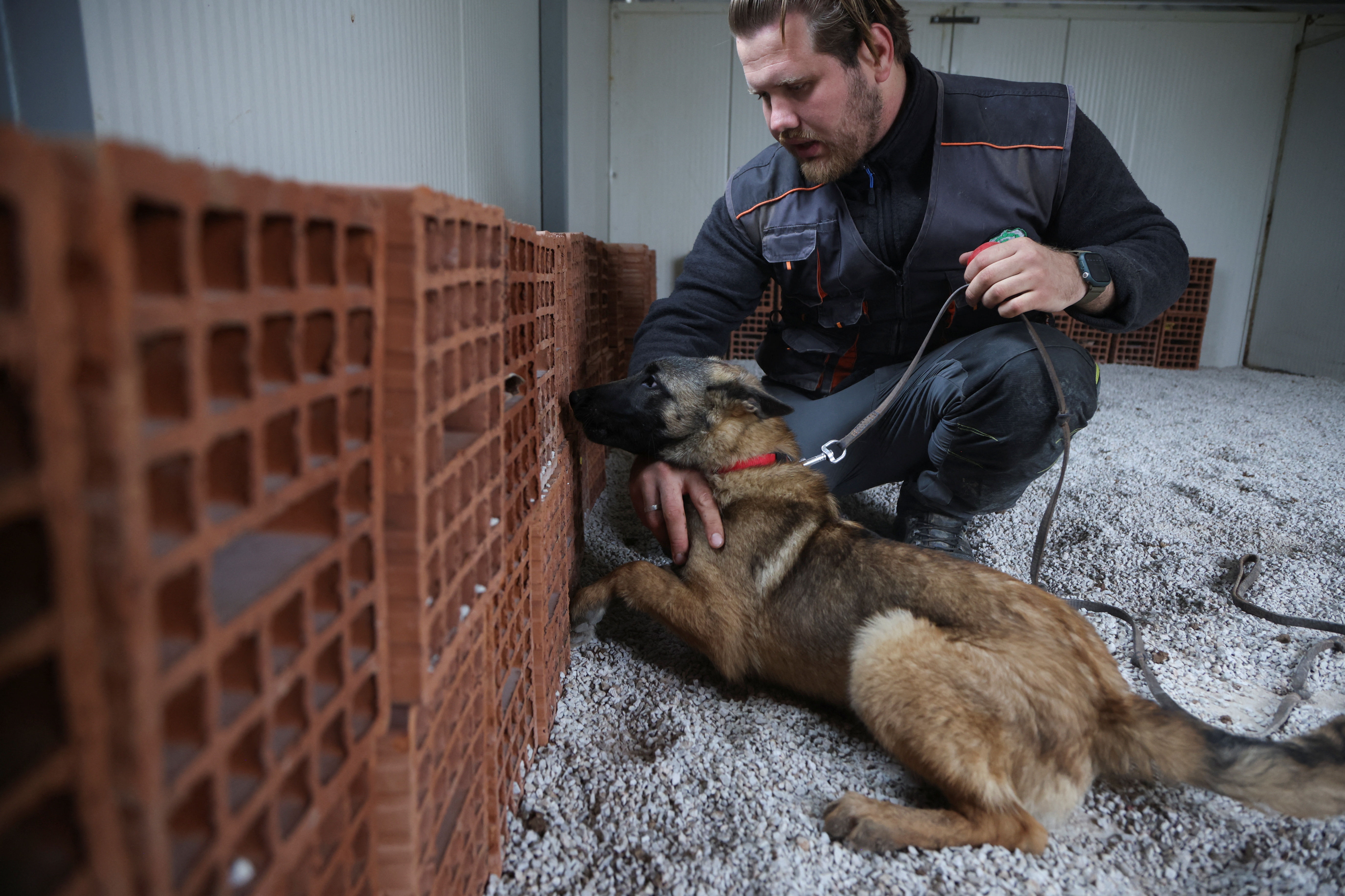 Mine detection dog training in Sarajevo