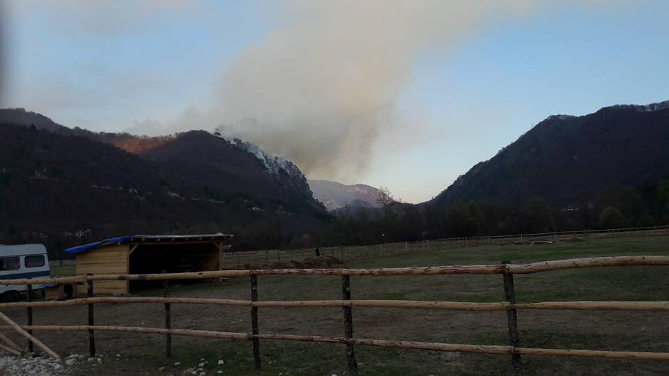 17499012_1846198872299423_8466350637864974122_n