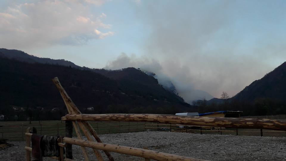 17499297_1846198772299433_6763362775327217566_n