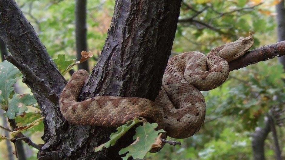 17499449_172079659977021_8621139500173052531_n