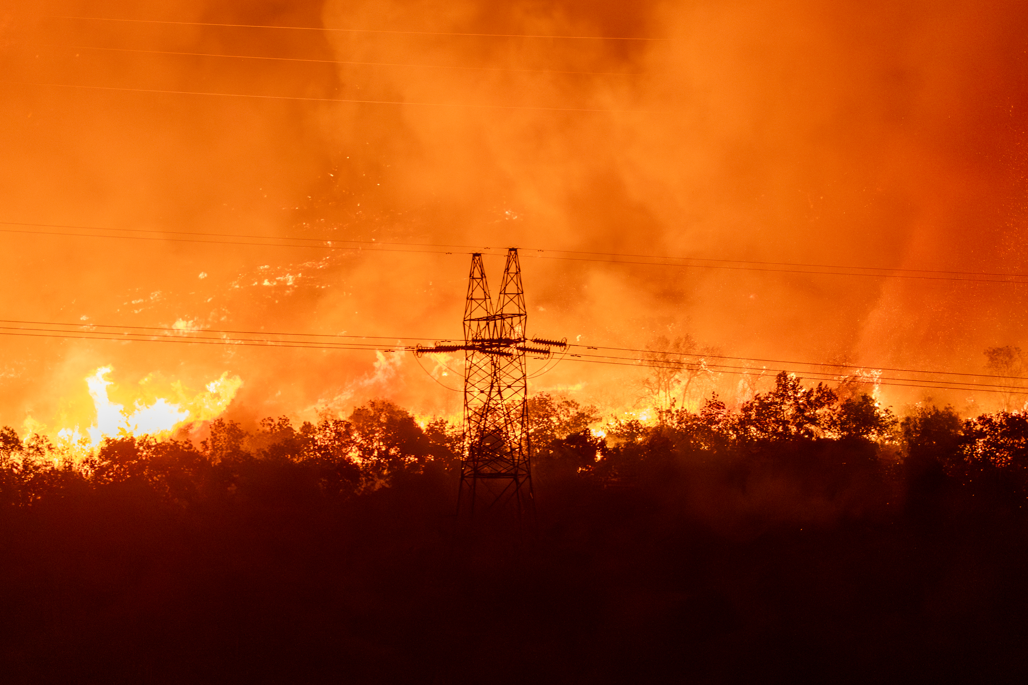 PODGORICA, CRNA GORA - 12. AUGUST 2025: Požari i dalje bjesne u Crnoj Gori